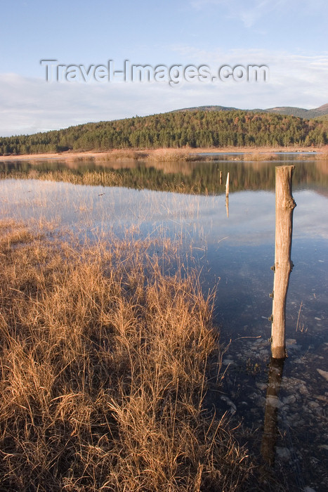 slovenia565: Slovenia - Pivka Valley: Palsko lake - pole and submerged grass - photo by I.Middleton - (c) Travel-Images.com - Stock Photography agency - Image Bank