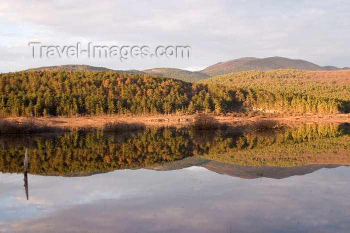 slovenia569: Slovenia - Pivka Valley: perfect reflection in Palsko lake - photo by I.Middleton - (c) Travel-Images.com - Stock Photography agency - Image Bank