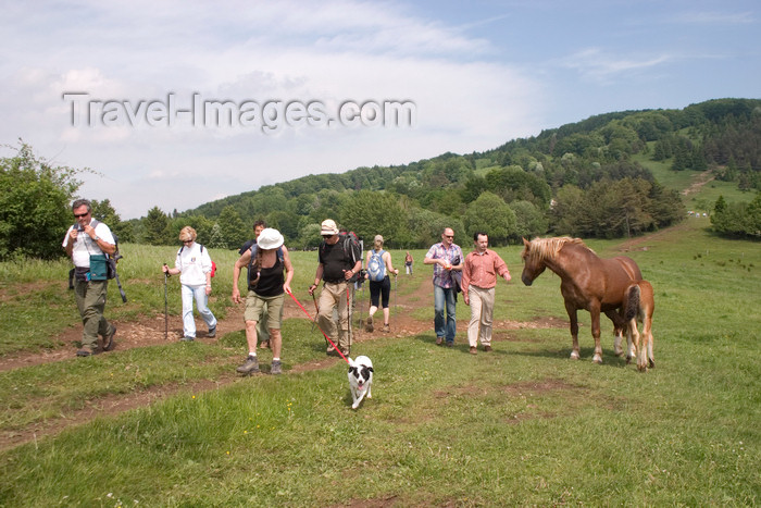 slovenia577: Slovenia - Cerknica municipality: tourists and horses on Slivnica Mountain - photo by I.Middleton - (c) Travel-Images.com - Stock Photography agency - Image Bank