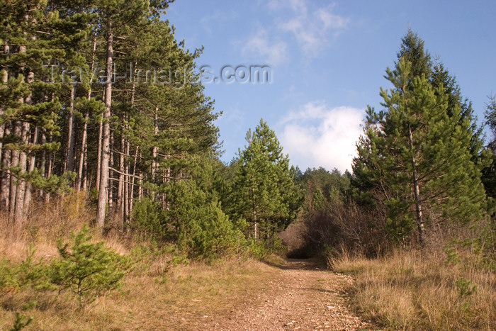 slovenia581: Slovenia - Cerknica municipality: Slivnica Mountain - path - photo by I.Middleton - (c) Travel-Images.com - Stock Photography agency - Image Bank