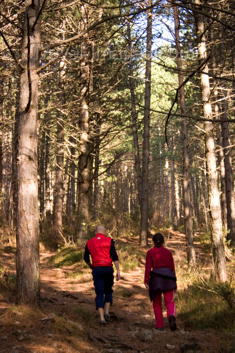 slovenia583: Slovenia - Cerknica municipality: Hikers in the forest - Slivnica Mountain - photo by I.Middleton - (c) Travel-Images.com - Stock Photography agency - Image Bank