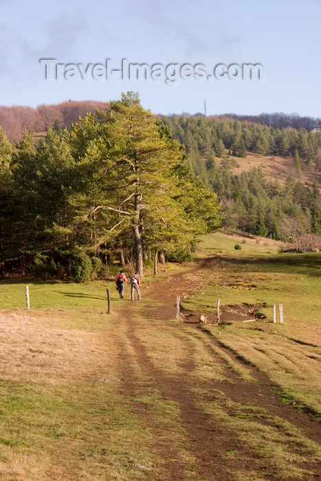 slovenia586: Slovenia - Cerknica municipality: hikers on Slivnica Mountain - Kras region - photo by I.Middleton - (c) Travel-Images.com - Stock Photography agency - Image Bank