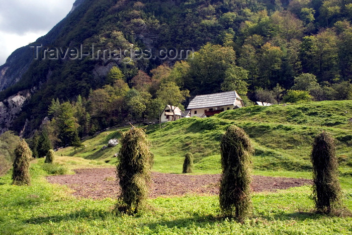 slovenia604: Slovenia - grass stacks in the Soca Valley - photo by I.Middleton - (c) Travel-Images.com - Stock Photography agency - Image Bank