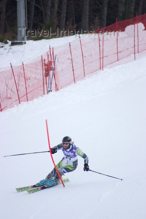 slovenia671: Womens world cup slalom, Kranjska Gora, Podkoren, Slovenia - photo by I.Middleton - (c) Travel-Images.com - Stock Photography agency - Image Bank