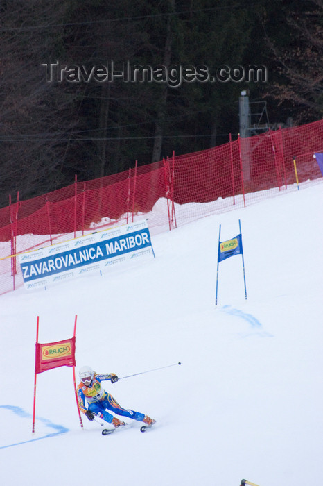 slovenia680: skier passing a gate - Golden fox, Womens world cup giant slalom, Kranjska Gora, Podkoren, Slovenia - photo by I.Middleton - (c) Travel-Images.com - Stock Photography agency - Image Bank