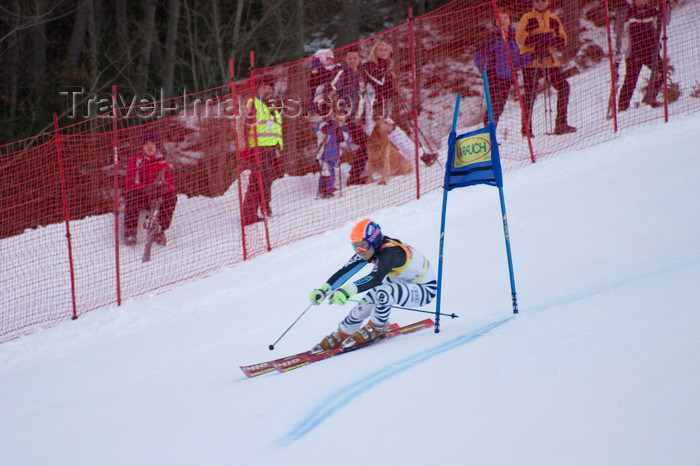 slovenia681: skier curving - Golden fox, Womens world cup giant slalom, Kranjska Gora, Podkoren, Slovenia - photo by I.Middleton - (c) Travel-Images.com - Stock Photography agency - Image Bank