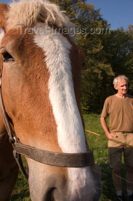 slovenia693: Horse and owner in the Skofja Loka hills, Slovenia -  photo by I.Middleton - (c) Travel-Images.com - Stock Photography agency - Image Bank