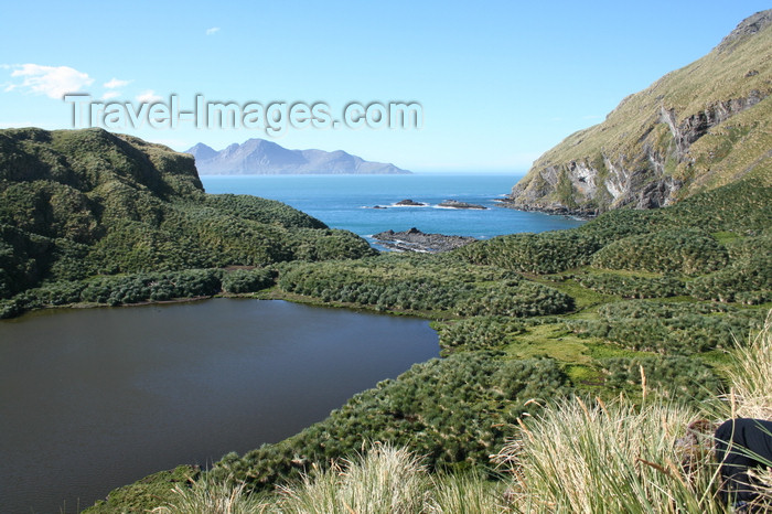 south-georgia44: South Georgia - Grytviken - lagoon - Antarctic region images by C.Breschi - (c) Travel-Images.com - Stock Photography agency - Image Bank
