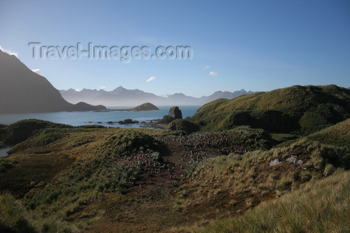 south-georgia45: South Georgia - Grytviken - moutains, Cumberland Bay and King Edward Cove - Antarctic region images by C.Breschi - (c) Travel-Images.com - Stock Photography agency - Image Bank