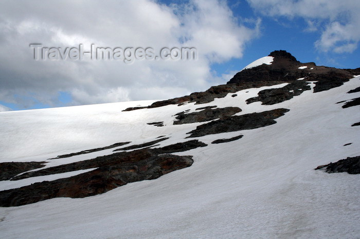 south-georgia62: South Georgia - Husvik - slope - Antarctic region images by C.Breschi - (c) Travel-Images.com - Stock Photography agency - Image Bank