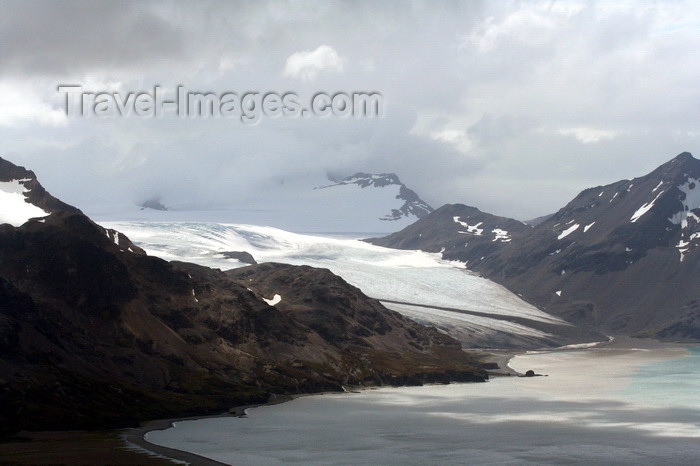 south-georgia66: South Georgia - Hutsvik - glacier - Antarctic region images by C.Breschi - (c) Travel-Images.com - Stock Photography agency - Image Bank