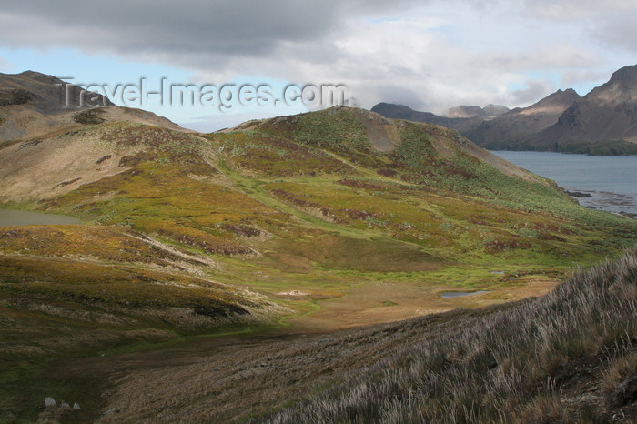 south-georgia73: South Georgia - Hutsvik - landscape - Antarctic region images by C.Breschi - (c) Travel-Images.com - Stock Photography agency - Image Bank