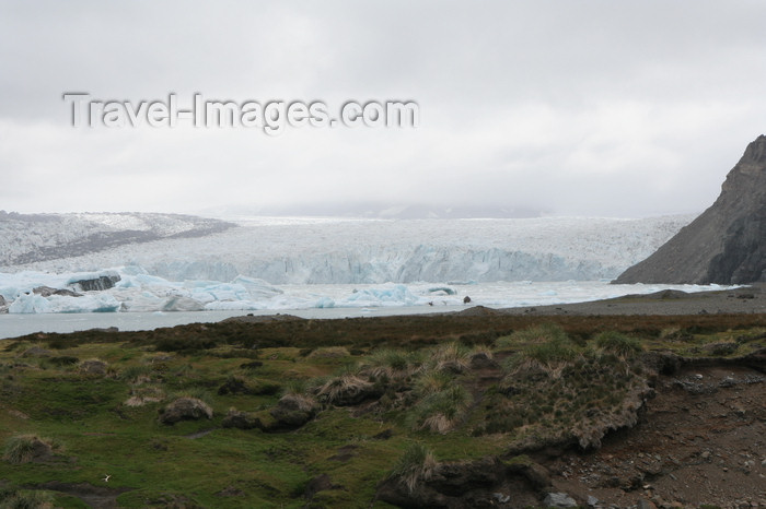 south-georgia75: South Georgia - Hutsvik - glacier front - Antarctic region images by C.Breschi - (c) Travel-Images.com - Stock Photography agency - Image Bank