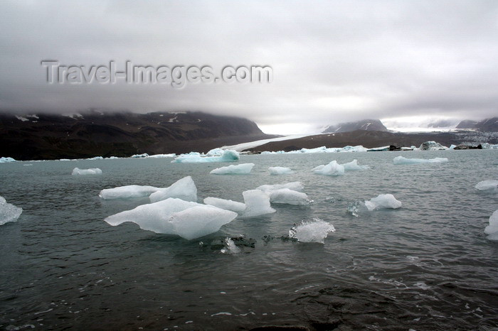 south-georgia76: South Georgia - Hutsvik - floating ice from the glacier - Antarctic region images by C.Breschi - (c) Travel-Images.com - Stock Photography agency - Image Bank