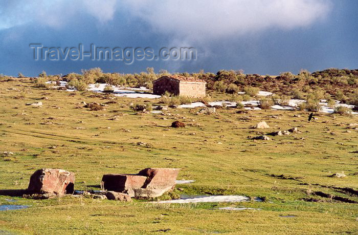 spai132: Spain / España - Cantabria - Alto Campóo -Braña Vieja (photo by Miguel Torres) - (c) Travel-Images.com - Stock Photography agency - Image Bank