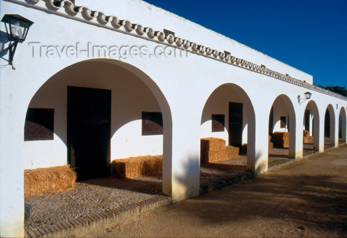 spai279: Spain - Cadiz - Stables of an Andalusian farm - photo by K.Strobel - (c) Travel-Images.com - Stock Photography agency - Image Bank