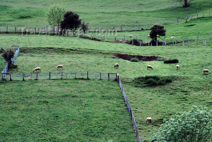 spai418: Spain - Cantabria - Cosgaya - green fields of Cantabria - photo by F.Rigaud - (c) Travel-Images.com - Stock Photography agency - Image Bank