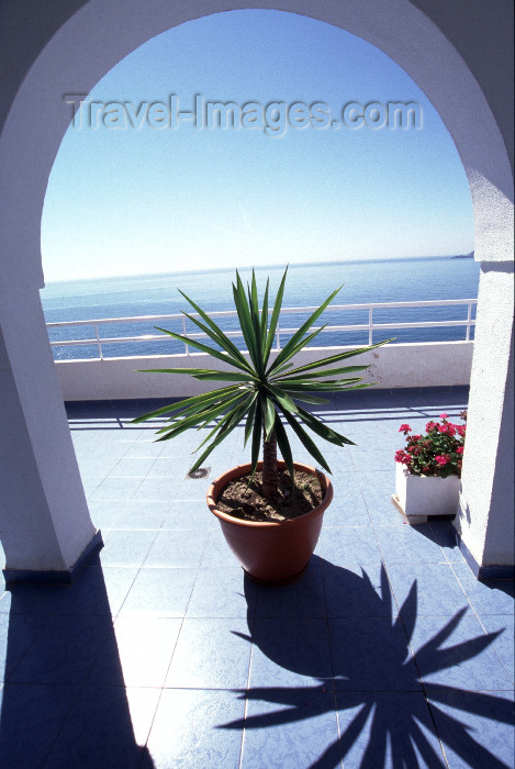 spai426: Spain / España - Salobreña, Granada, Andalucia: balcony over the Mediterranean Sea - flower pot - photo by F.Rigaud - (c) Travel-Images.com - Stock Photography agency - Image Bank