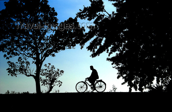 sri-lanka102: Nuwara Eliya, Central Province, Sri Lanka: silhouetted bicyclist and trees, rural back country - photo by B.Cain - (c) Travel-Images.com - Stock Photography agency - Image Bank
