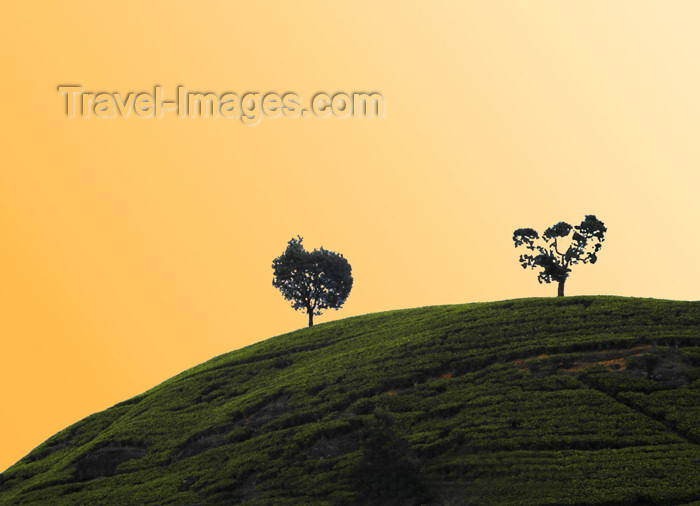 (c) Travel-Images.com - Stock Photography agency - the Global Image Bank