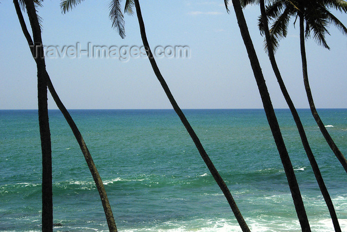 sri-lanka112: Sri Lanka Swaying palm trees, beach near Weligama (photo by B.Cain) - (c) Travel-Images.com - Stock Photography agency - Image Bank