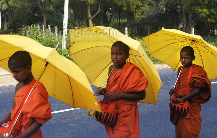 sri-lanka118: near Dambulla, Sri Lanka: three young monks with umbrellas - photo by B.Cain - (c) Travel-Images.com - Stock Photography agency - Image Bank