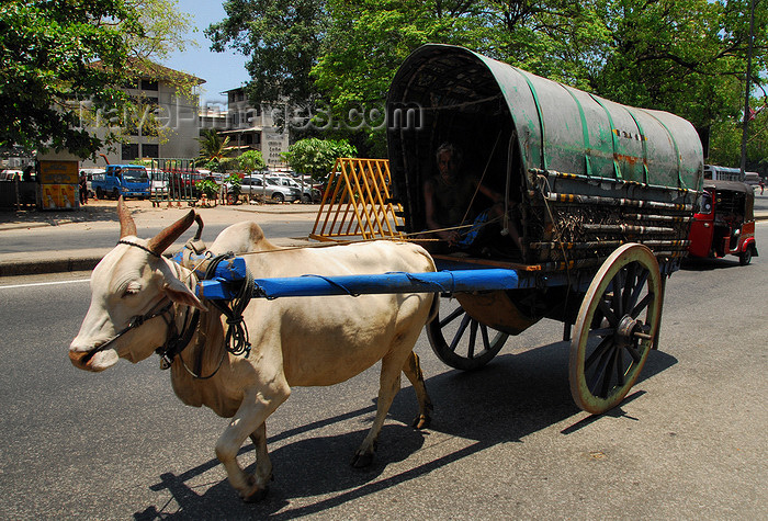 (c) Travel-Images.com - Stock Photography agency - the Global Image Bank