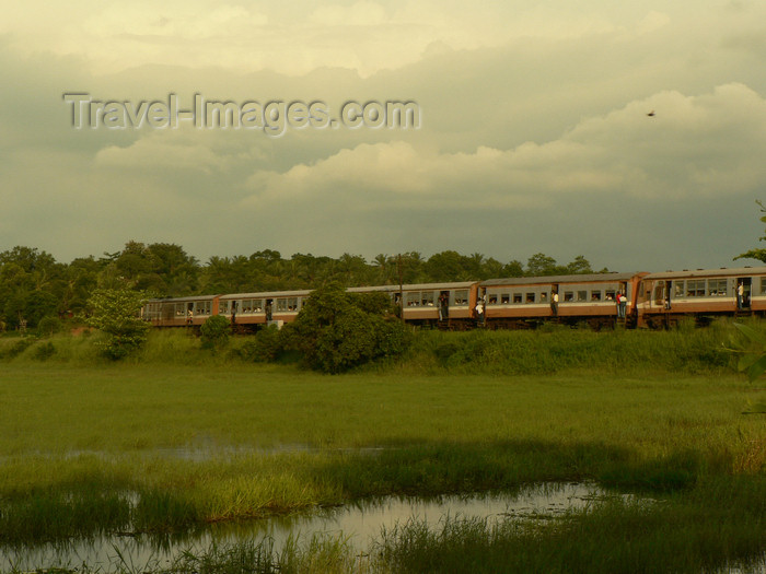 sri-lanka17: Sri Lanka - Yagoda region - Western Province - A train travelling through countryside - photo by K.Y.Ganeshapriya - (c) Travel-Images.com - Stock Photography agency - Image Bank