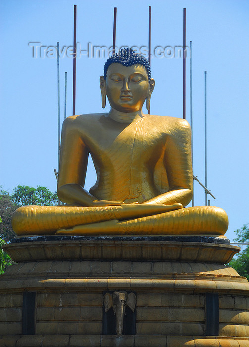 sri-lanka201: Colombo, Sri Lanka: Gangaramaya Temple - golden Buddha sitting - Slave island - photo by M.Torres - (c) Travel-Images.com - Stock Photography agency - Image Bank