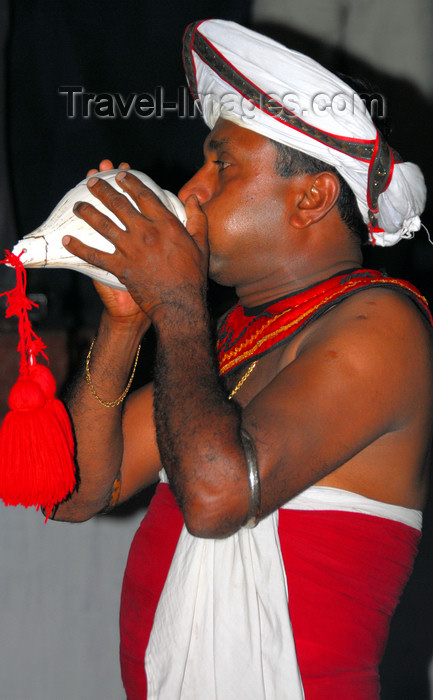 sri-lanka23: Kandy, Central province, Sri Lanka: conch player - musician - Maha Nuvara - Senkadagalapura - photo by M.Torres - (c) Travel-Images.com - Stock Photography agency - Image Bank