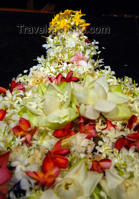 sri-lanka284: Kandy, Central province, Sri Lanka: flowers for the Buddha - Sri Dalada Maligawa - Temple of the Sacred Tooth Relic - photo by M.Torres - (c) Travel-Images.com - Stock Photography agency - Image Bank