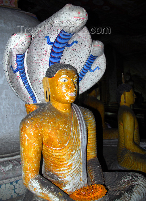 sri-lanka292: Dambulla, Central Province, Sri Lanka: Buddha statue with nagas - Dambulla rock temple - UNESCO World Heritage Site - photo by M.Torres - (c) Travel-Images.com - Stock Photography agency - Image Bank
