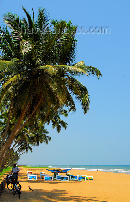 sri-lanka366: Wadduwa, Western province, Sri Lanka: tropical beach - coconut trees and the Indian ocean - Blue Water Hotel - photo by M.Torres - (c) Travel-Images.com - Stock Photography agency - Image Bank