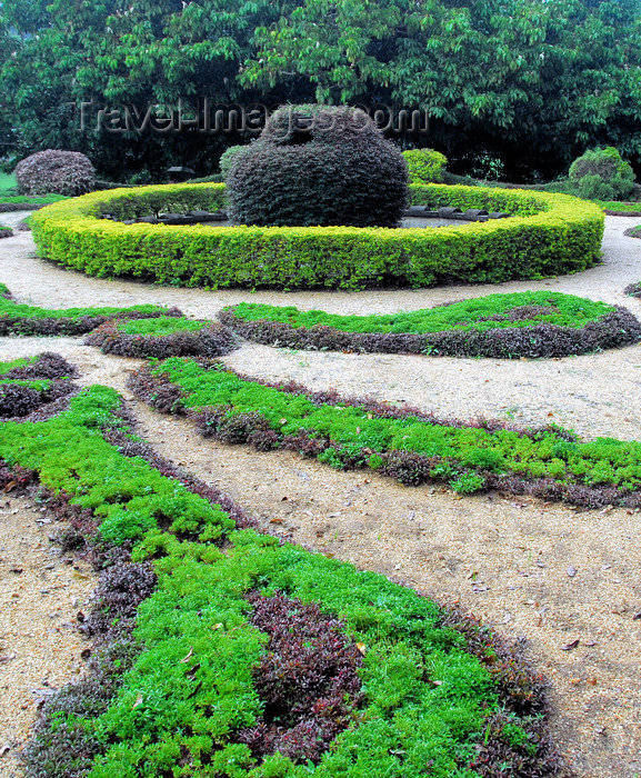 sri-lanka375: Peradeniya, Kandy, Central province, Sri Lanka: Royal Botanical Gardens of Peradeniya - photo by M.Torres - (c) Travel-Images.com - Stock Photography agency - Image Bank