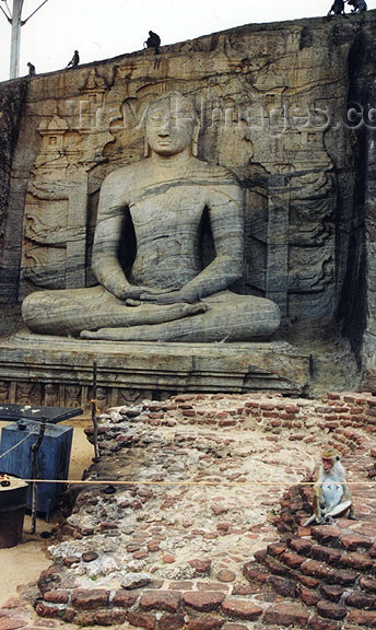 sri-lanka43: Polonnaruwa, North Central province, Sri Lanka:Gal Vihara - high point of Sinhalese rock carving - Buddha standing on a lotus Plinth in the blessing Posture - photo by G.Frysinger - (c) Travel-Images.com - Stock Photography agency - Image Bank