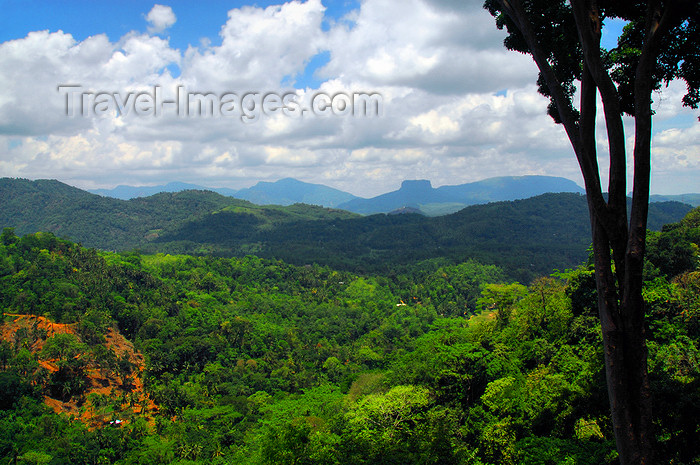 sri-lanka60: Kegalle, Sabaragamuwa province, Sri Lanka: jungle and landscape - Rambukkana - photo by M.Torres - (c) Travel-Images.com - Stock Photography agency - Image Bank