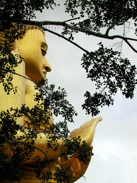 sri-lanka69: Dambulla, Sri Lanka: Golden Buddha through trees, Golden Temple of Dambulla, Unesco world heritage site - photo by B.Cain - (c) Travel-Images.com - Stock Photography agency - Image Bank