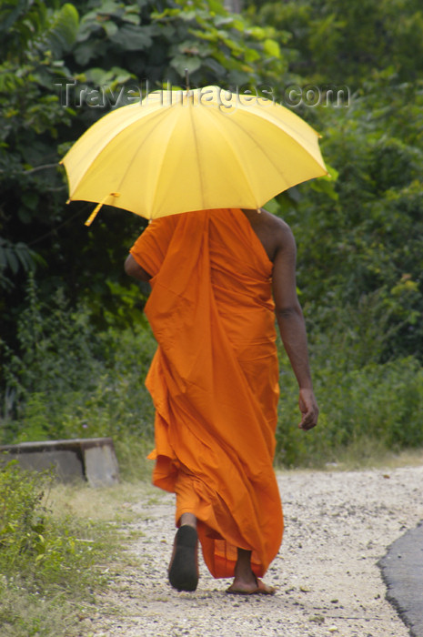sri-lanka88: near Dambulla, Sri Lanka: monk walking away under umbrella - photo by B.Cain - (c) Travel-Images.com - Stock Photography agency - Image Bank