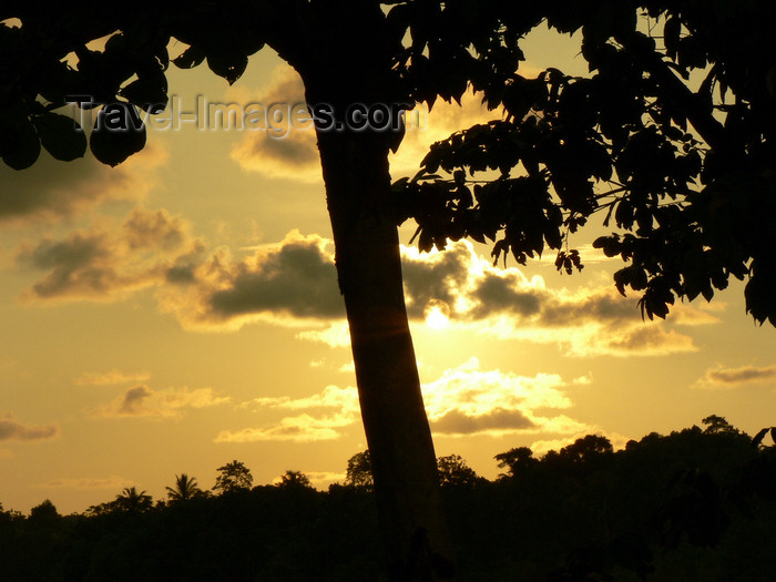 sri-lanka9: Sri Lanka - Yagoda region - sunset scene - tree silhouette - photo by K.Y.Ganeshapriya - (c) Travel-Images.com - Stock Photography agency - Image Bank