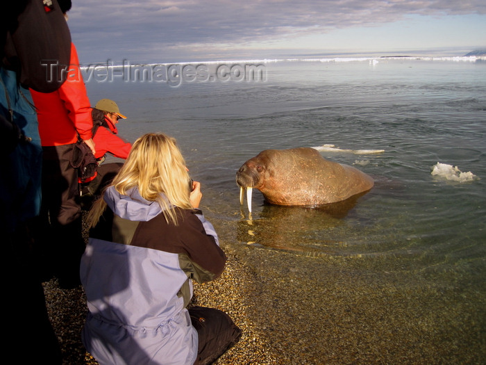 (c) Travel-Images.com - Stock Photography agency - the Global Image Bank