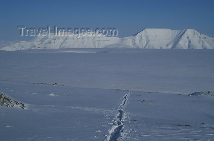 svalbard18: Svalbard - Spitsbergen island - Nordenskiöldfjellet: track in the snow - photo by A.Ferrari - (c) Travel-Images.com - Stock Photography agency - Image Bank