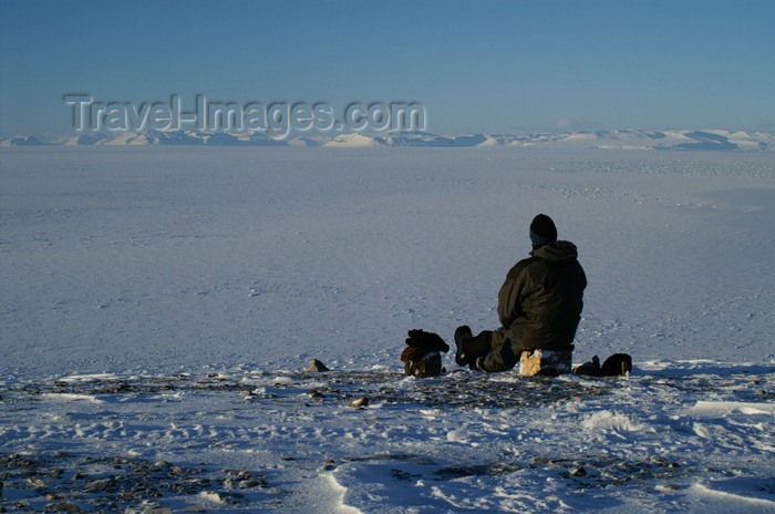 svalbard41: Svalbard - Spitsbergen island - Björndalen: enjoying a (cold) view over Isfjorden - photo by A.Ferrari - (c) Travel-Images.com - Stock Photography agency - Image Bank
