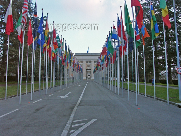 switz143: Switzerland / Suisse / Schweiz / Svizzera - Geneva / Genève / Genf / Ginevra / GVA: UN - flags at the entrance / ONU - entree - photo by C.Roux - (c) Travel-Images.com - Stock Photography agency - Image Bank