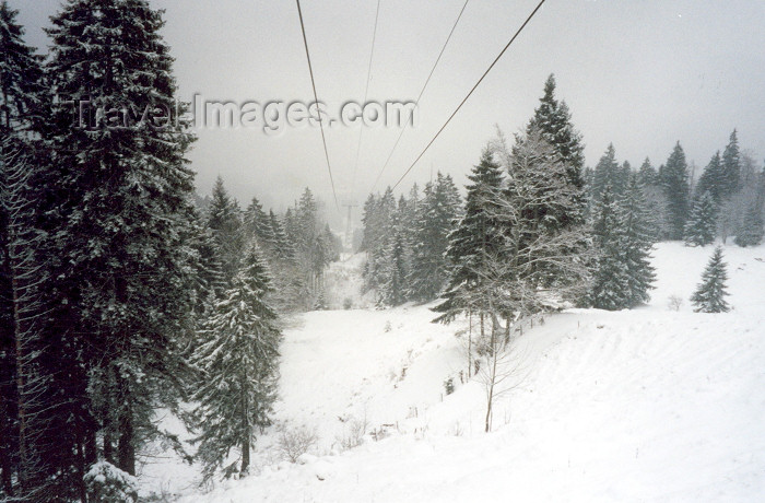 switz268: Switzerland / Suisse / Schweiz / Svizzera - Hergiswil (Nidwalden canton): the slopes of mount Pilatus - photo by M.Torres - (c) Travel-Images.com - Stock Photography agency - Image Bank