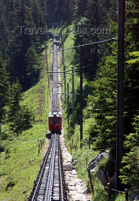 switz269: Switzerland / Suisse / Schweiz / Svizzera - Mt Pilatus: Alpanachstad - Pilatus train - rack railway - photo by C.Roux - (c) Travel-Images.com - Stock Photography agency - Image Bank