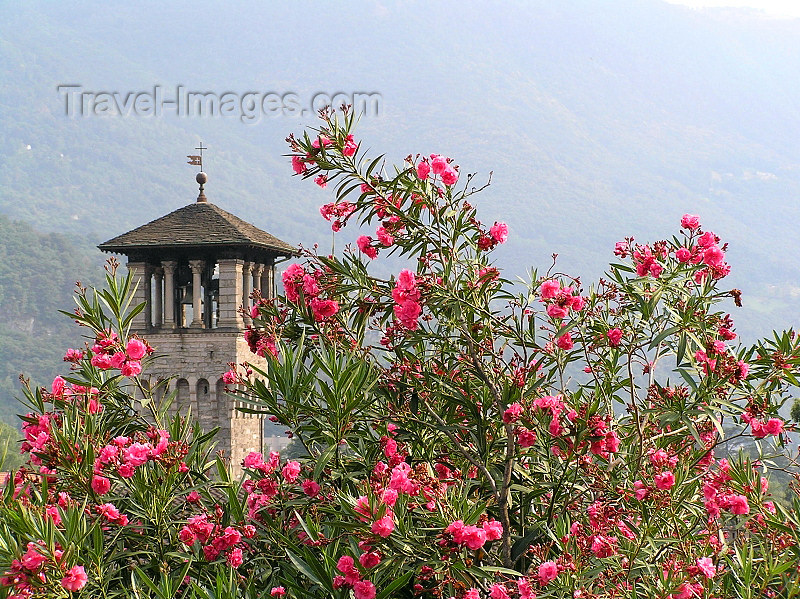 switz369: Switzerland - Bellinzona, Ticino canton: flowers and belfry - photo by J.Kaman - (c) Travel-Images.com - Stock Photography agency - Image Bank