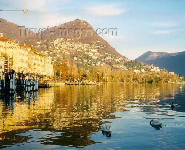 switz6: Switzerland - Lugano (Ticino canton): Lakeside - Lago Tessino (photo by M.Torres) - (c) Travel-Images.com - Stock Photography agency - Image Bank