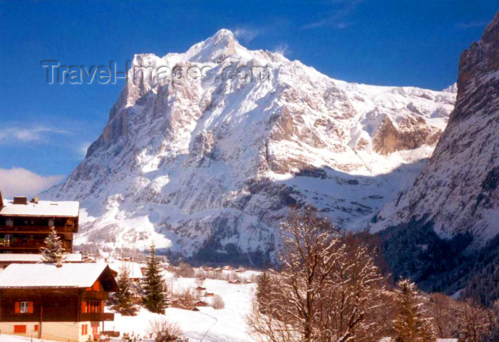 switz63: Switzerland / Suisse / Schweiz / Svizzera - Grindelwald (Bern canton): in the winter - photo by P.Willis - (c) Travel-Images.com - Stock Photography agency - Image Bank