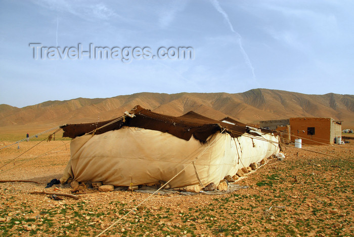 syria81: Homs governorate, Syria: Bedouin tent - photo by M.Torres / Travel-Images.com - (c) Travel-Images.com - Stock Photography agency - Image Bank