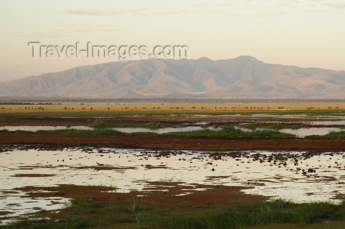 tanzania106: Tanzania - Lake Manyara at sunset - photo by A.Ferrari - (c) Travel-Images.com - Stock Photography agency - Image Bank